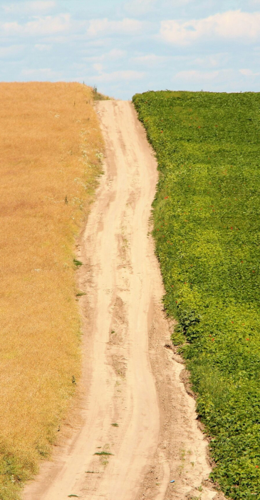 zernyatko-pic-4